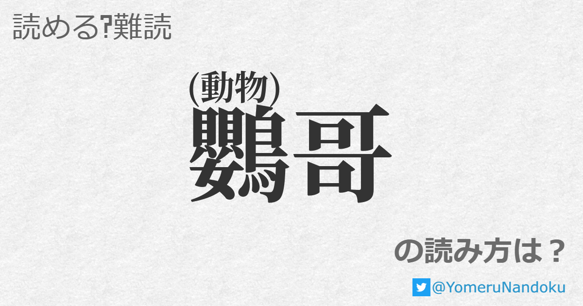 鸚哥 の読み方は 読める 難読 Com
